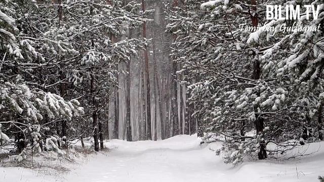 МАҚАЛ-МӘТЕЛДЕР ЖИНАҒЫ/НАҚЫЛ СӨЗДЕР/ҚАЗАҚ ХАЛҚЫНЫҢ ДАНАЛЫҒЫ//