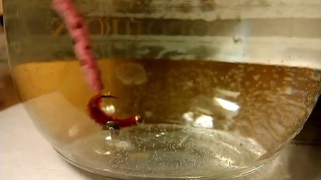 Мушка коропова.Хробак. смотреть онлайн