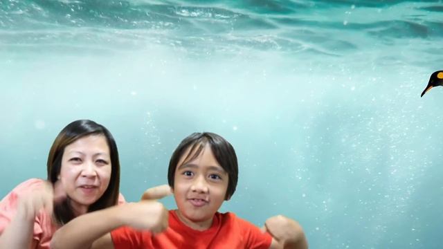 Where's Ryan??? Can you Find Ryan Puzzle Game! смотреть онлайн