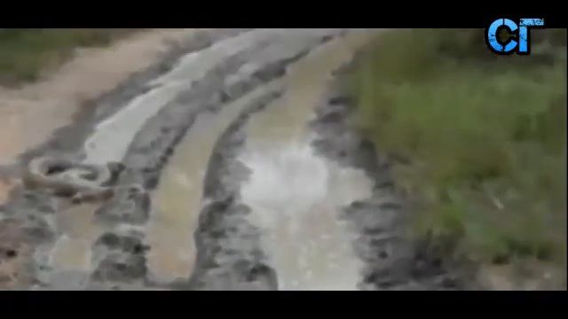 Питон атакует туристов, реальное видео.