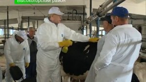 Александр Савелов-Дерябин в Татарстане успешно лечит мастит у коров с помощью системы Виватон