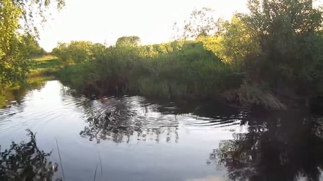 Речка. Красивые пейзажи, музыка. The river. Beautiful landscapes, music. смотреть онлайн