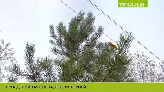 В гостях Удачи». Валерий и Людмила Ероховы смотреть онлайн