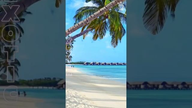 В чем секрет веб моделей студии EXOTICA? смотреть онлайн