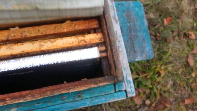 Завершение сезона. Последняя обработка пчелосемей от клеща. смотреть онлайн