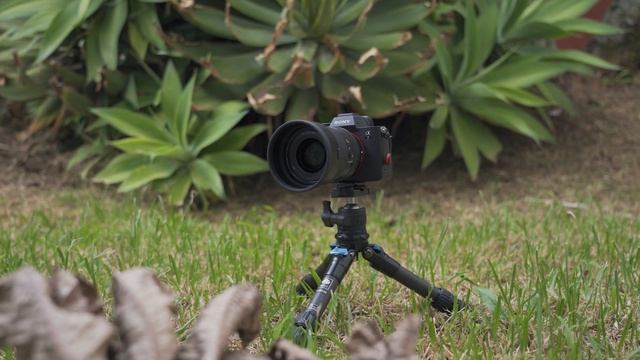 GVM Motorized Camera Sliders | GVM WS-2D смотреть онлайн