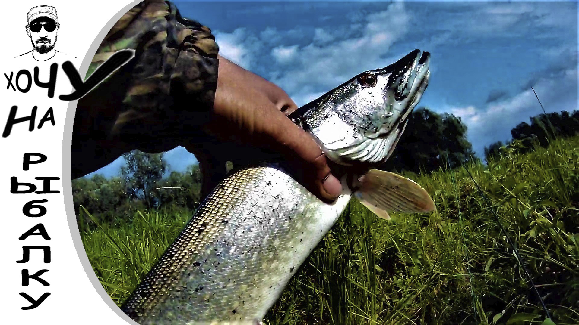 Сколько же щуки тут под корягами. Рыбалка на воблеры. Копия Orbit 130. 24.08.2019 смотреть онлайн