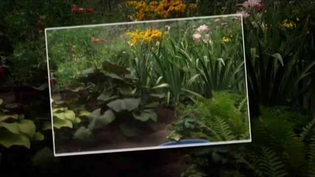 Цветы в моем саду смотреть онлайн