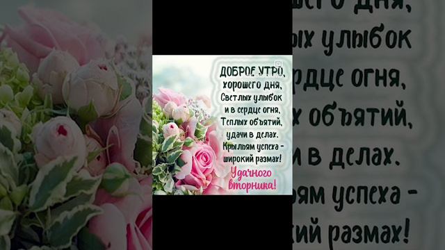 доброе утро и хорошего вторника🌸🌸🌸