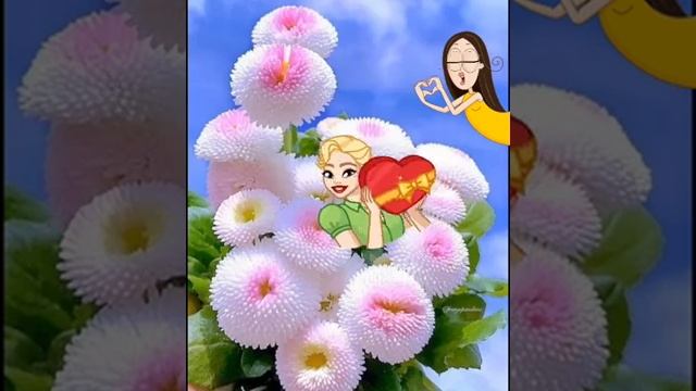 Через тернии к звездам, то есть к астрам! Астра на латыни - Звезда! смотреть онлайн