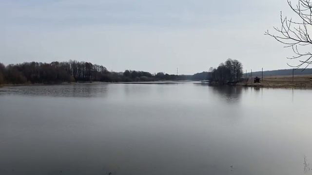 14 апреля 2021 г. смотреть онлайн