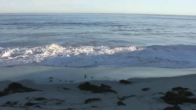 Шавасана смотреть онлайн