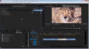 Adobe Premiere Pro. Добавляем эффекты на видео.