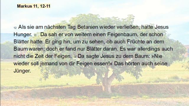 Wie begegnest du Jesus? (Markus 11, 1-9) смотреть онлайн