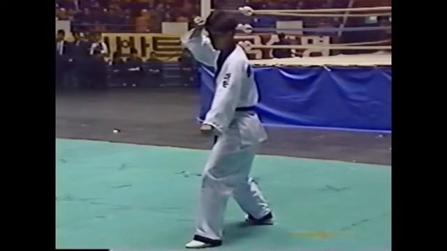 Korea Hapkido Federation Demonstration смотреть онлайн