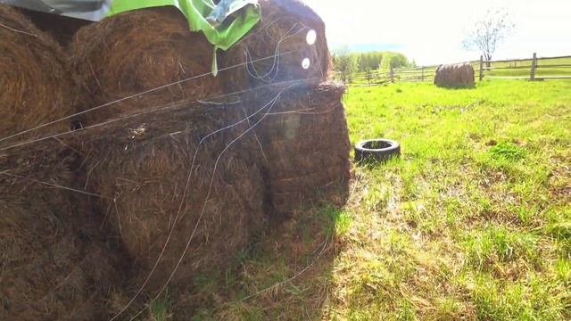 Долгожданная покупка! Сеялка сзт-3.6, наладка сеялки, электропастух, коровы на пастбище смотреть онлайн