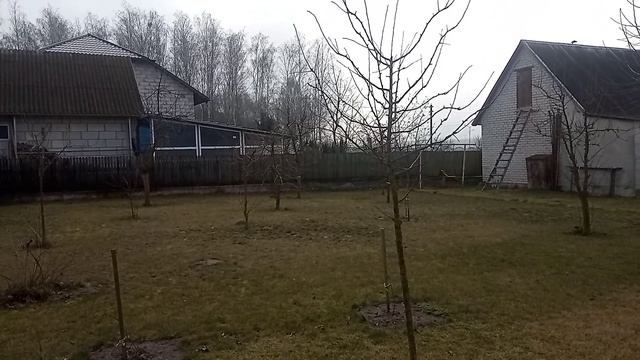 "Собачье царство" смотреть онлайн