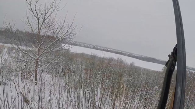 Охота с Русскими пегими гончими на лисицу#24 смотреть онлайн