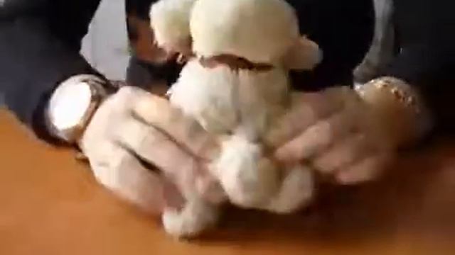 Игра с игрушкой овечкой смотреть онлайн