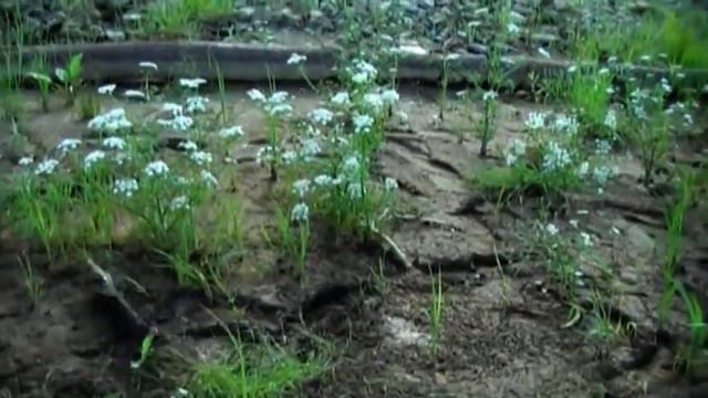 Сеуль июль 2012 смотреть онлайн