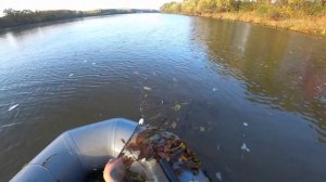 Рыбалка на сети осенью!