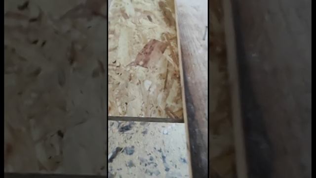 Стройка Заданий