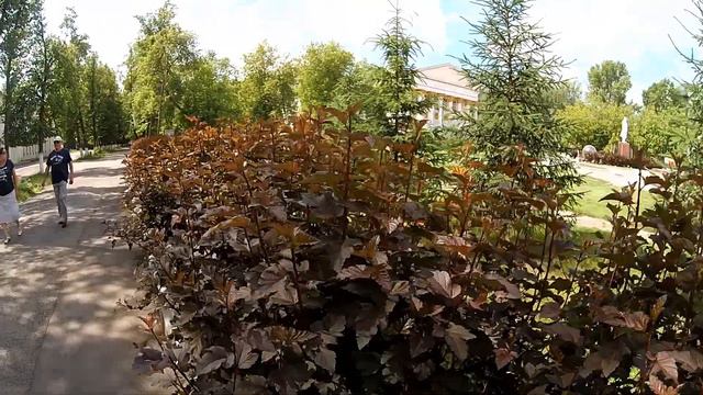 Прогулка . г.Сим. 20.06.19г . смотреть онлайн