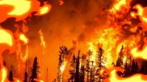 Геннадий Трофимов И Детский Хор — Лесные Пожары Граница Таёжный Роман