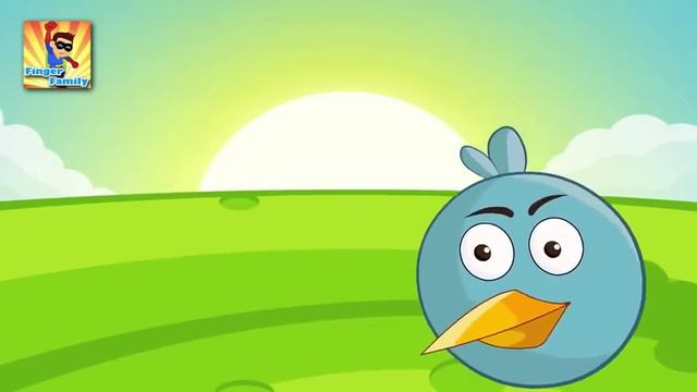 Angry Birds Finger Family Song   Finger Family Songs   Finger Family