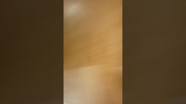 пов : обычный день кошки смотреть онлайн