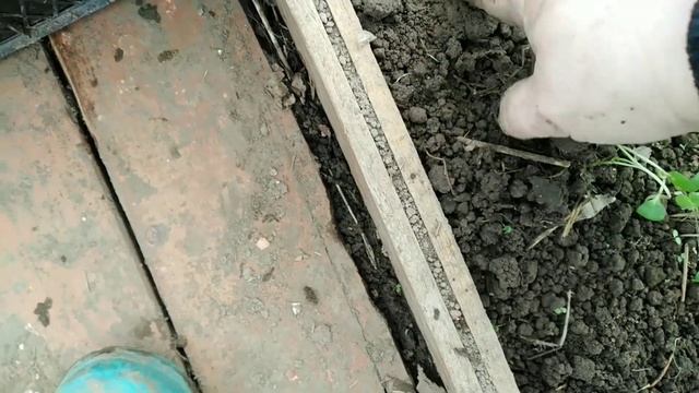 Это НАДО видеть.Почему гниёт ЛУК.ВРЕДИТЕЛИ в теплице ОБНАРУЖЕНЫ. смотреть онлайн
