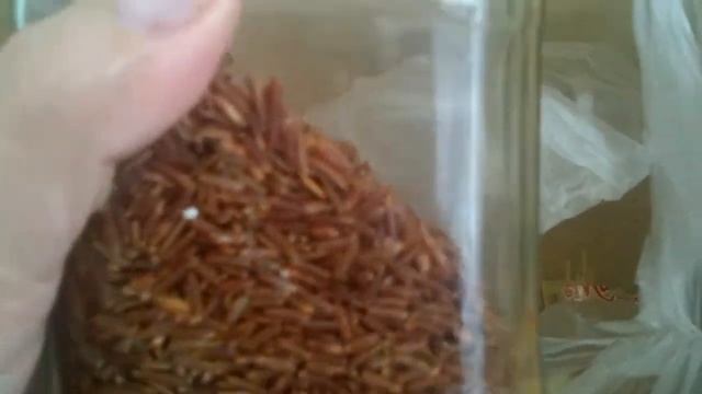 Покупки в магазине ашан смотреть онлайн