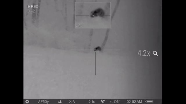 15 Hogs Down with the Pulsar Trail XQ38 Thermal Scope and Armasight Zeus Pro 640 50mm смотреть онлайн