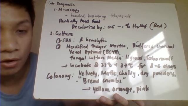 GRAM POSITIVE BACILLI PART 2