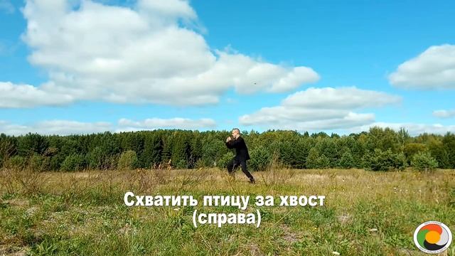 Тайцзицюань Ян 24 формы смотреть онлайн