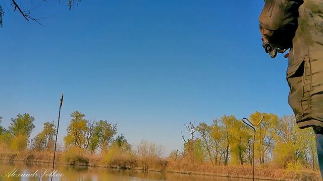 Бешенный клев карася, на речку Турунчук, поклёвки крупным планом смотреть онлайн