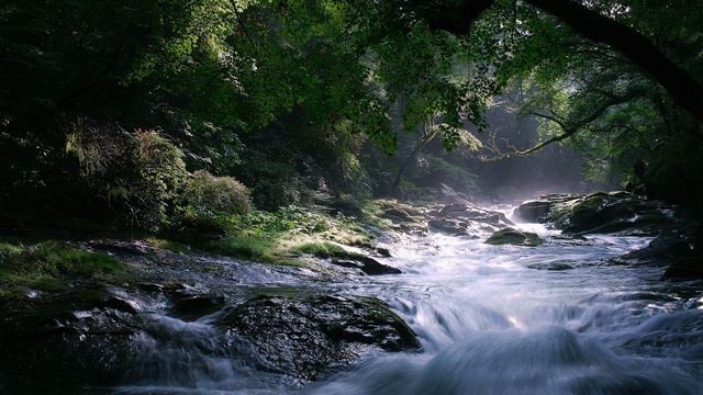 Symphony N3 "The River" by Ivan Petrov смотреть онлайн