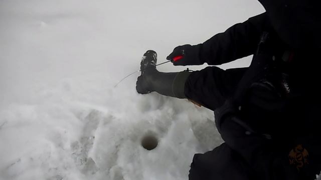 Ловля окуня на мормышку в феврале на нижней Москве реке. смотреть онлайн