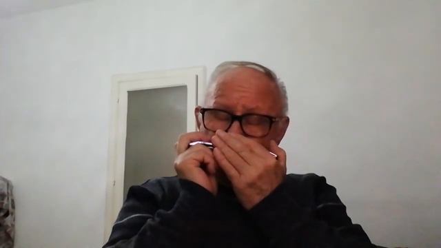 Amazing Grace Harmonica Cromatica SCX 56 смотреть онлайн