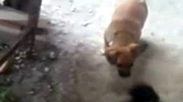 Напилася я пьяна, не дойду я до дома. смотреть онлайн