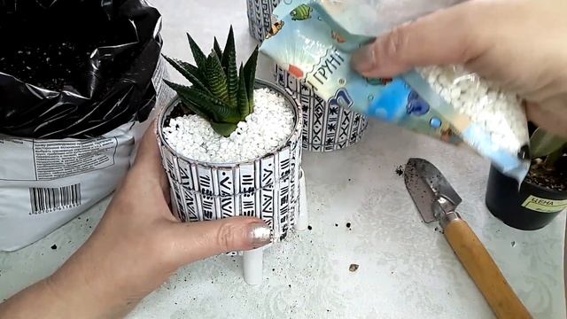 Это можно сделать из обычной консервной банки! Мусор в дело !!! смотреть онлайн