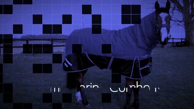 Ride On Fly Rug | Geetac смотреть онлайн