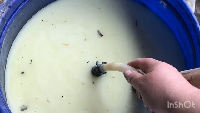 Внесение подкормки клубнике, как подать триходермин смотреть онлайн