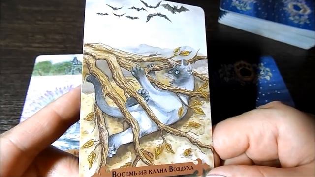 Гадание на 24 МАЯ 2017 года на ТАРО - КАРТА ДНЯ смотреть онлайн