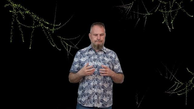 Синхроничность - эмпатия, гипноз, расстановки по хеленгеру, телепатия, гадание таро, ясновидение смотреть онлайн