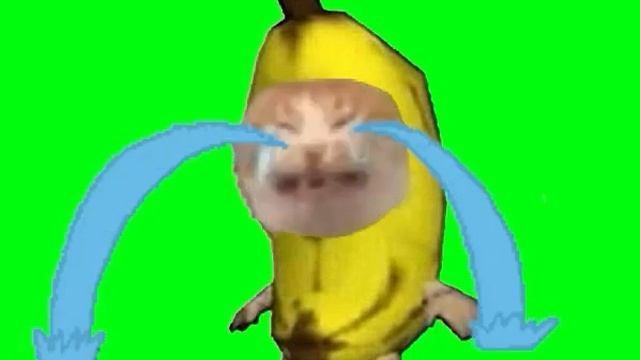 Crying Banana Cat Meme Green Screen (10 Hours)