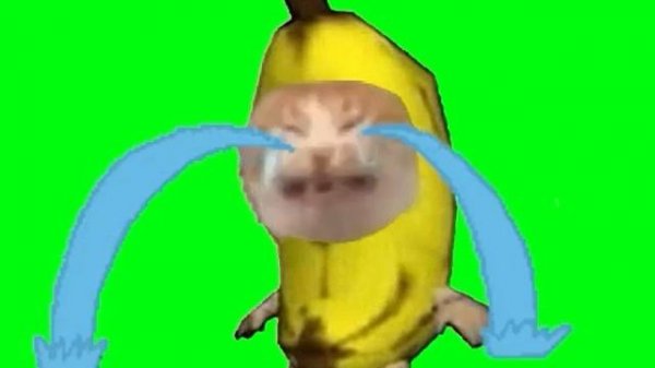 Crying Banana Cat Meme Green Screen (10 hours)