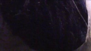 Weregorilla Transformation 3