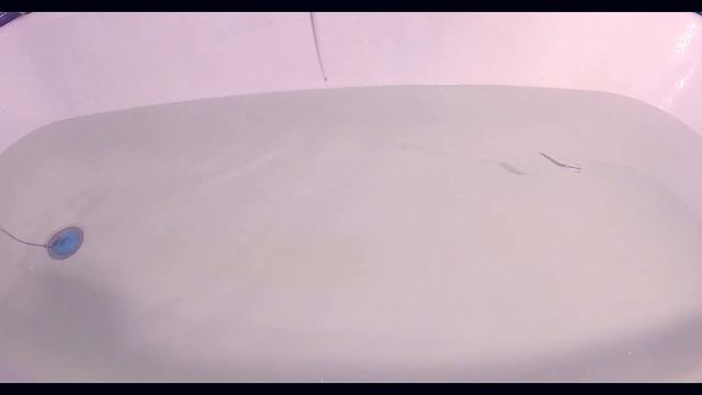 Acme Little Cleo Spoon Slowmotion