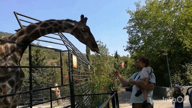 Ялтинский зоопарк «Сказка». смотреть онлайн